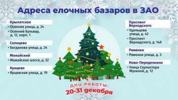 Праздник Новогодней Елки 1991 Праздник Новогодней Елки 1991