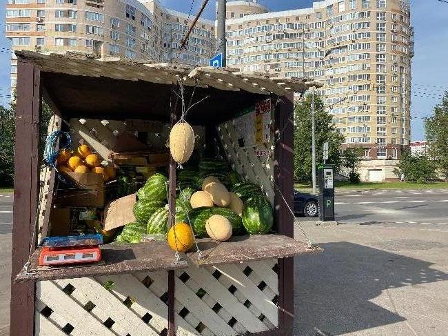 Хранение бахчевых культур непосредственно на земле ответ
